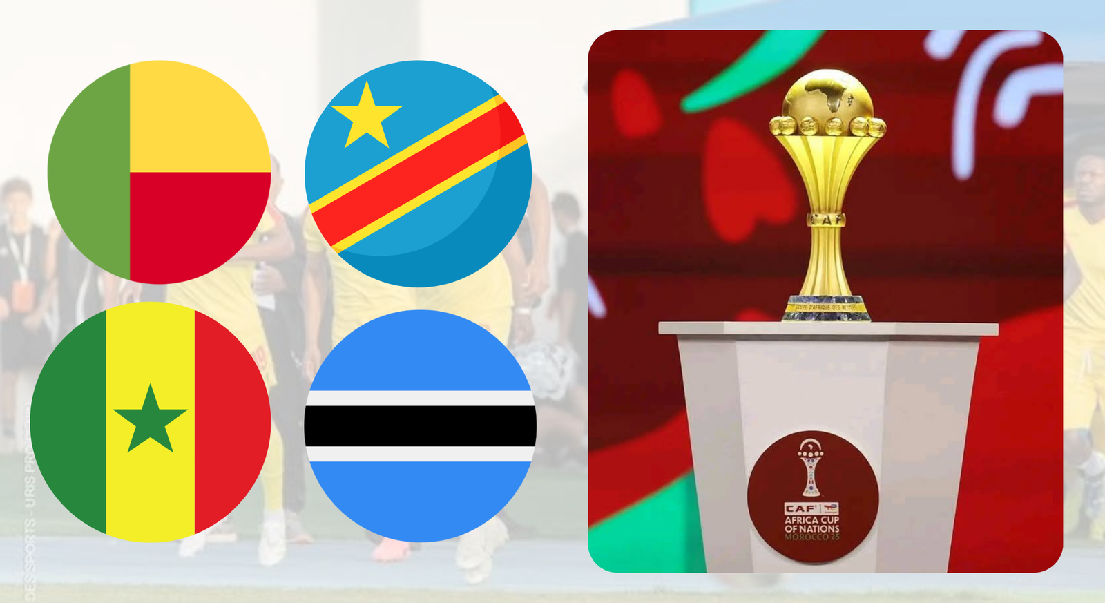 can maroc 2025 (1)